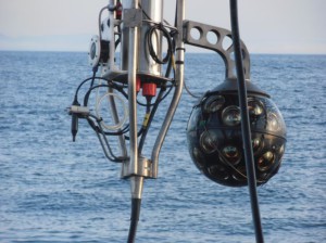 KM3NeT-PPM-DOM