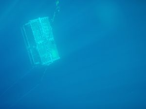 node-in-deep-sea